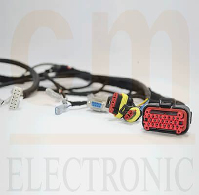Wiring Harness for Forklift - Chan Ming